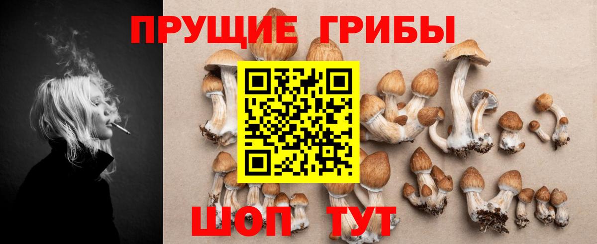 Краснознаменск  дарнет шоп  Вход с VPN  Галлюциногенные грибы Magic Shrooms  Псилоцибиновые грибы ЛСД 